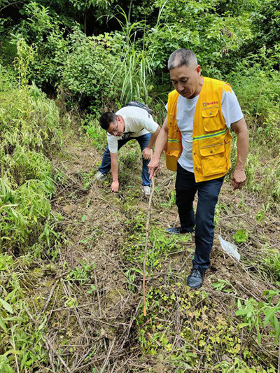 《地災(zāi)巡查一絲不茍》。6月13日，黔江區(qū)金溪規(guī)劃和自然資源所會同107地質(zhì)隊總工秦華生（右）在黔江區(qū)太極鎮(zhèn)太河村杉樹灣查看原滑坡區(qū)域滑體裂隙等發(fā)育變化情況。李偉攝