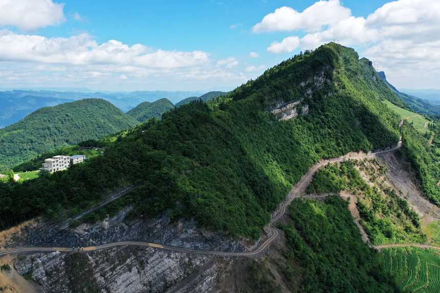 重慶市黔江區(qū)阿蓬江鎮(zhèn)柒坨村“懸崖上的種糧路”。楊敏攝