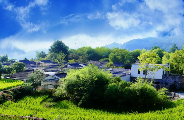 特色民宿清風場住宅區(qū)。楊松攝