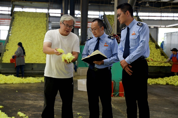 巫溪縣稅務(wù)人員走訪重慶瑞火星農(nóng)業(yè)科技發(fā)展有限公司了解黃蜀葵收成、銷售情況。牛健紅攝