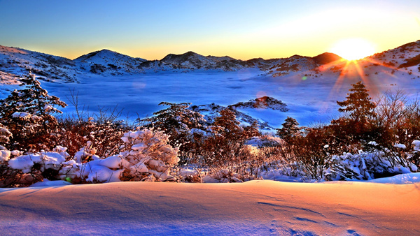 紅池壩雪景。巫溪縣委宣傳部供圖