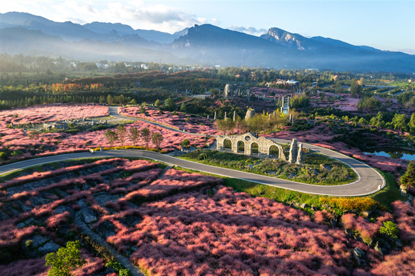 疊石花谷景區(qū)。酉陽旅投供圖