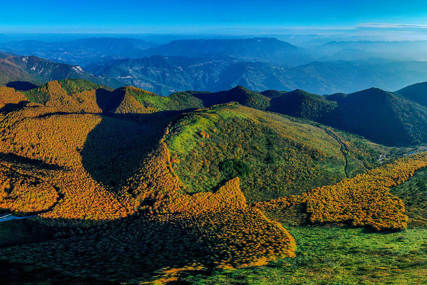 巫山梨子坪秋景。陳光國(guó)攝