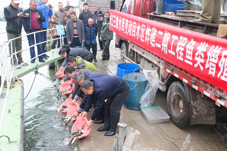 涪陵區(qū)舉行魚(yú)類(lèi)增殖放流活動(dòng) 受訪(fǎng)單位供圖