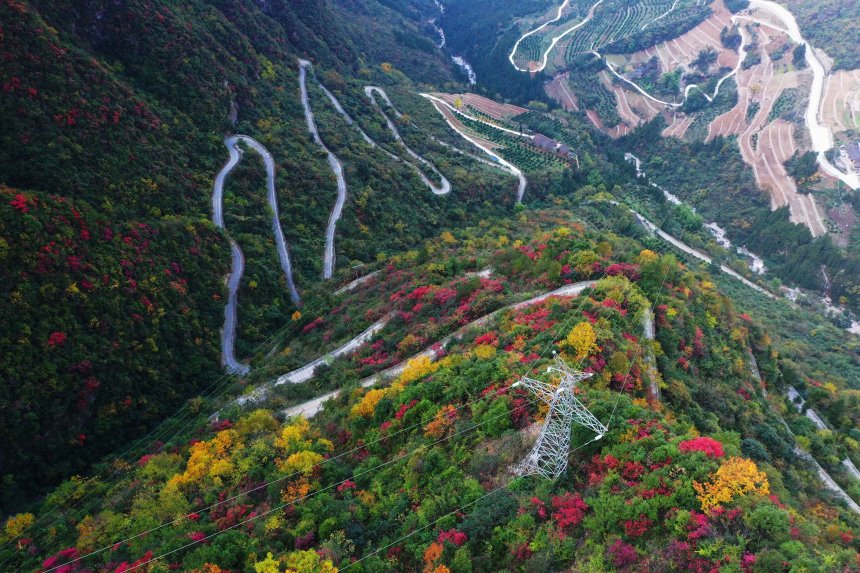 絕壁“天路”兩旁層林盡染，風(fēng)景如畫。王忠虎攝