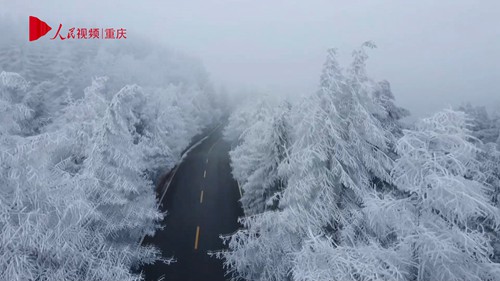 重慶：仙女山迎來(lái)今冬首場(chǎng)降雪