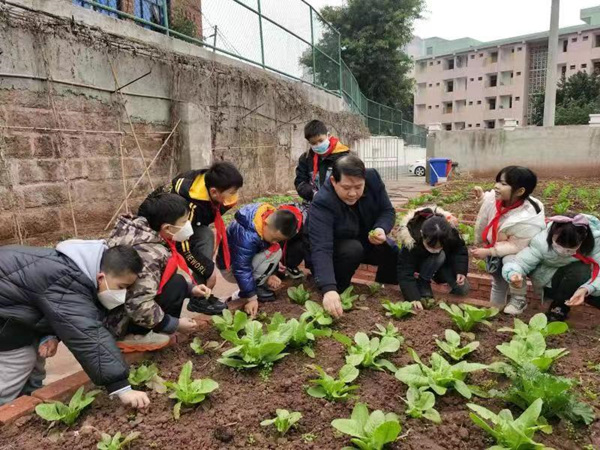 師生共同進行勞動實踐。永川區(qū)教委供圖