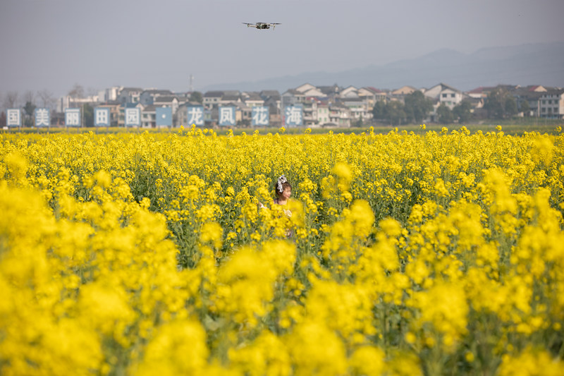 在重慶市秀山縣龍鳳花海景區(qū)，市民游客們正在油菜花田里拍照游玩。胡程攝 (4)