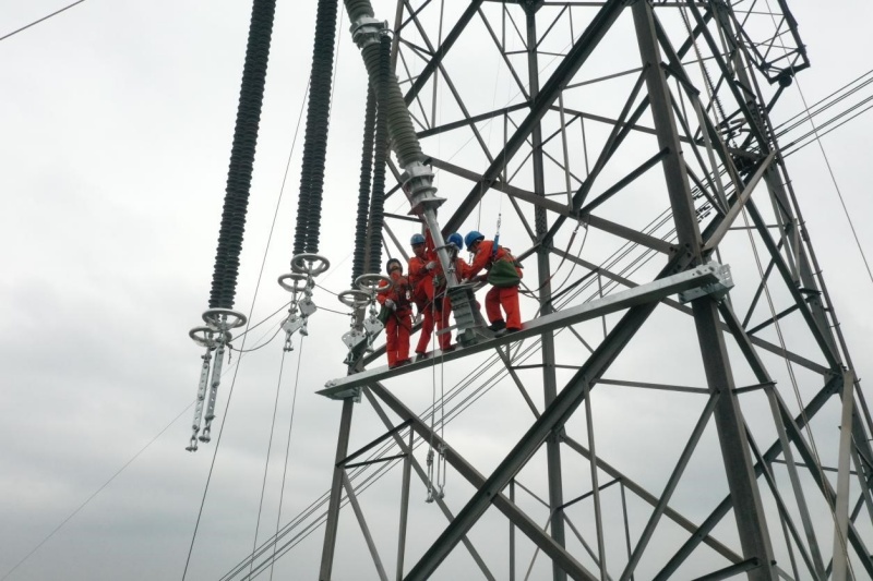 高空作業(yè)人員對(duì)復(fù)奉線進(jìn)行避雷器加裝作業(yè)。李濤攝