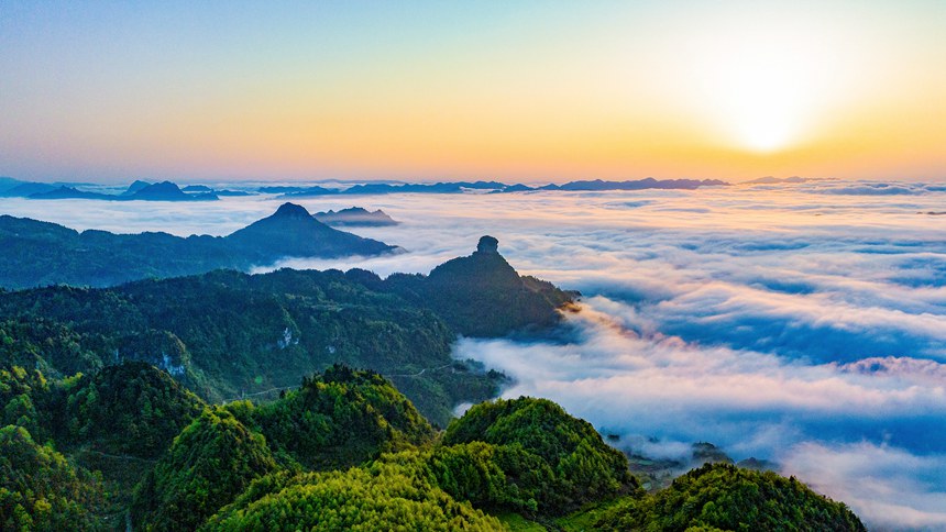 金佛山景區(qū)云霧漫山春色美。瞿明斌攝