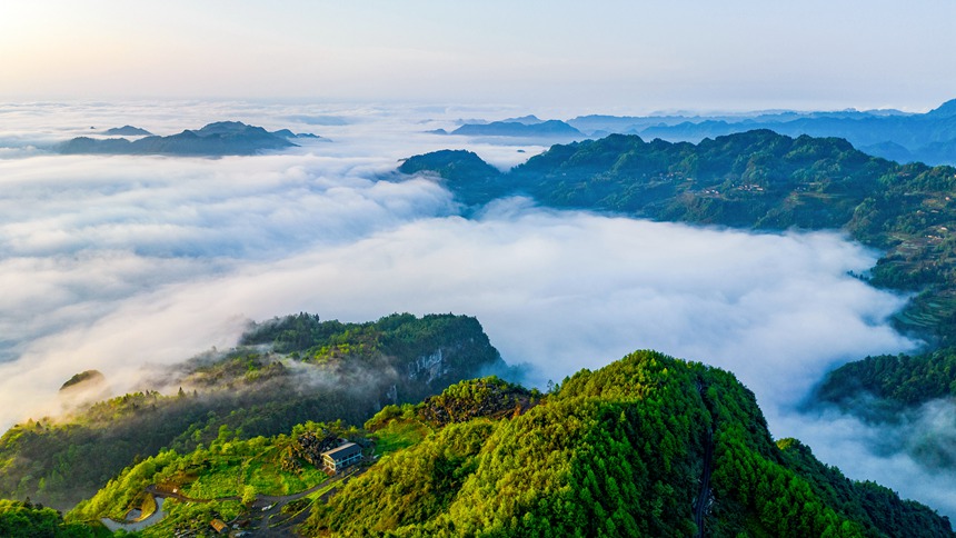 金佛山景區(qū)云霧漫山春色美。瞿明斌攝