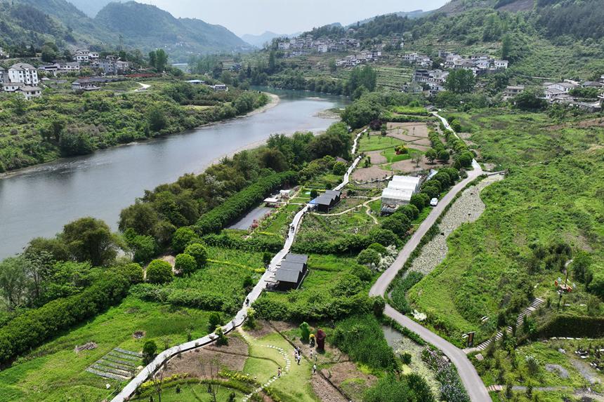 阿蓬江國(guó)家濕地公園。楊敏攝