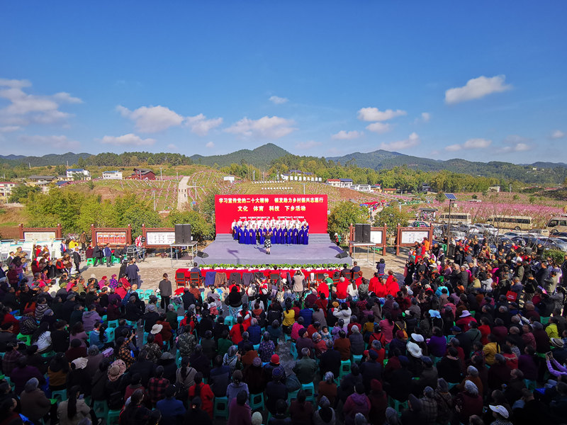 圍龍鎮(zhèn)開(kāi)展2023年賞花季活動(dòng)。張捍攝