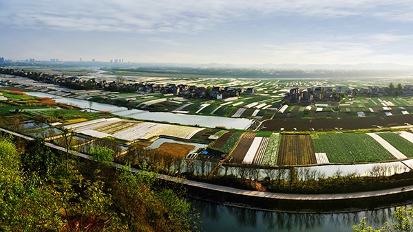 支持潼南打造“西部綠色菜都”。重慶農(nóng)商行供圖