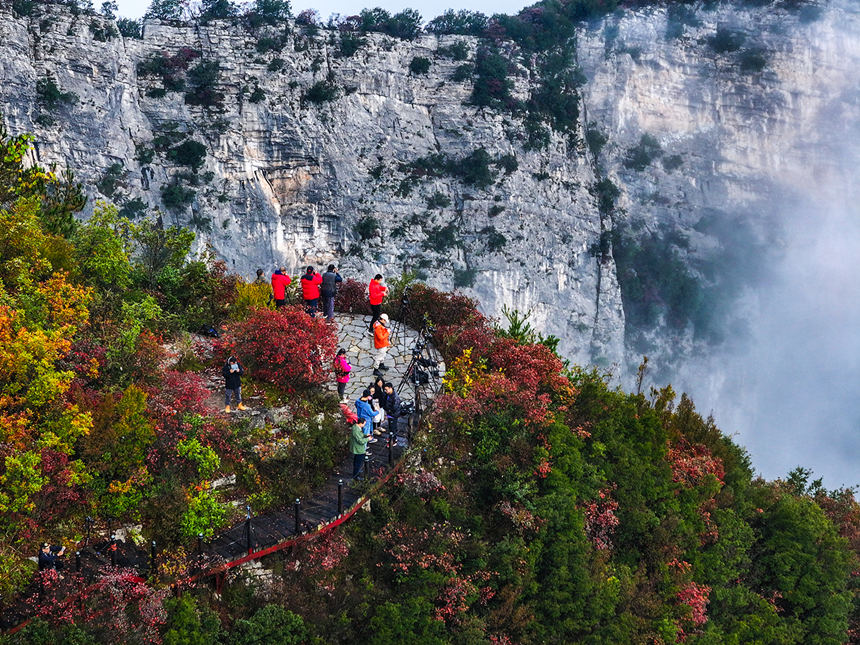 游人在瞿塘峽岸邊拍攝紅葉景觀。王正坤攝