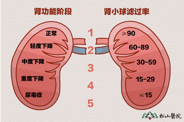 腎功能階段。重慶松山醫(yī)院供圖