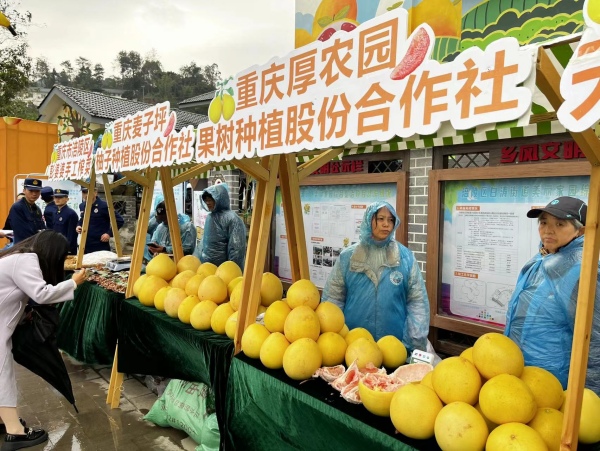 新鮮的柚子吸引市民品嘗。蔣海濤攝