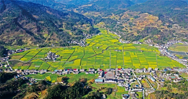 彭水田野風(fēng)光。彭水縣委宣傳部供圖