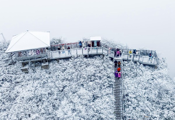 金佛山雪景。受訪單位供圖