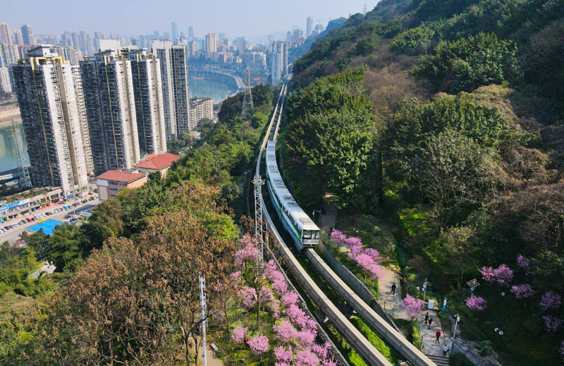 佛圖關(guān)公園“開往春天的列車”網(wǎng)紅景觀。人民網(wǎng) 陳琦攝