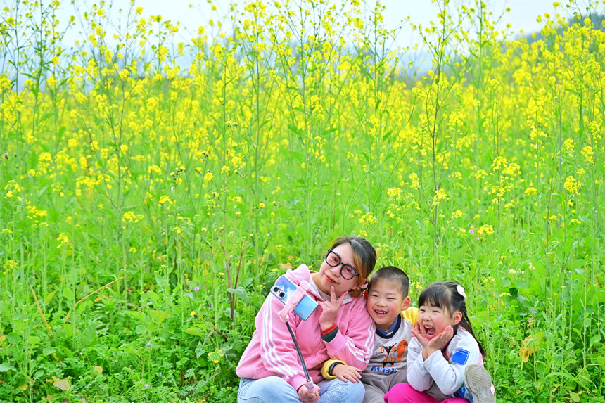 南岸區(qū)廣陽(yáng)島，游客在油菜花海里拍照。郭旭攝