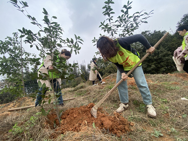 植樹活動現(xiàn)場。錦屏路社區(qū)供圖