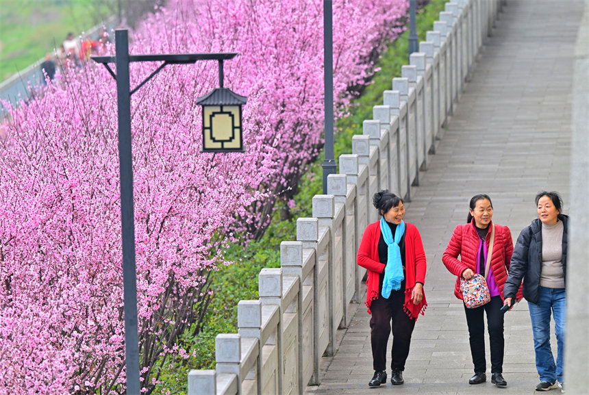 重慶：江灘公園春如畫 