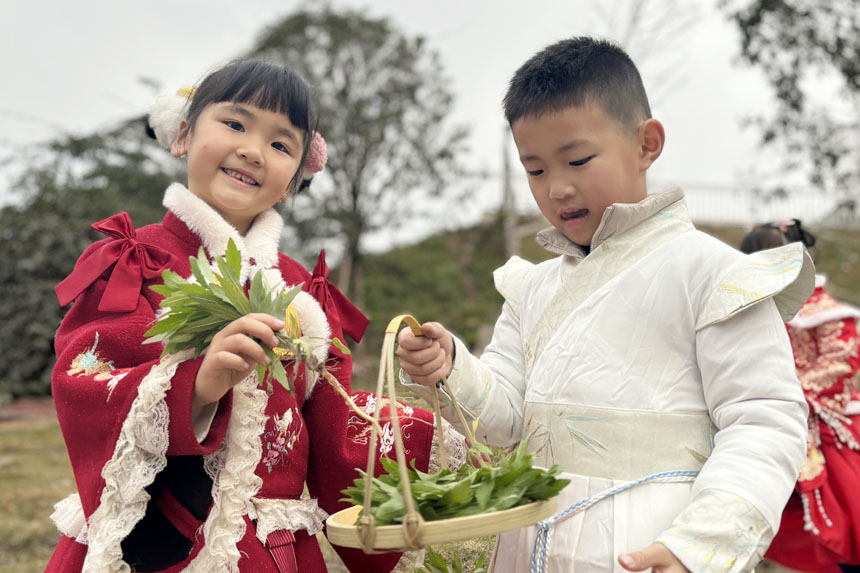 摘野菜。朝陽(yáng)幼教集團(tuán)供圖