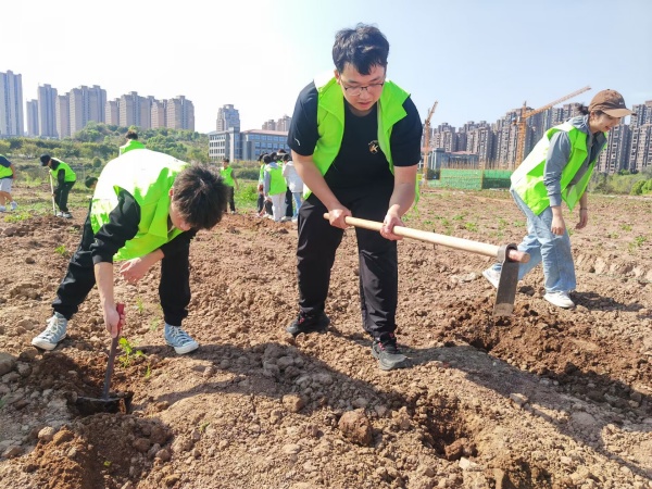 學生體驗種植艾蒿。重慶理工大學供圖