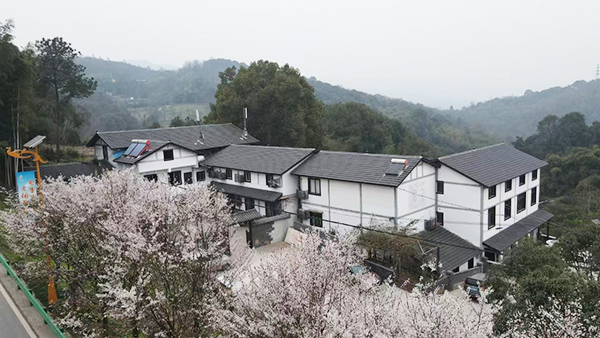 九鳳村美景。金鳳鎮(zhèn)供圖