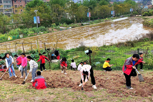 基地勞動實(shí)踐。永興小學(xué)供圖