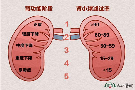 腎功能階段。重慶松山醫(yī)院供圖