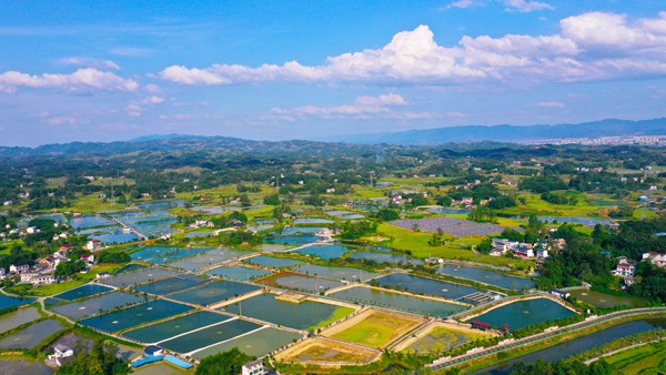 梁平區(qū)禮讓鎮(zhèn)川西村。劉輝攝