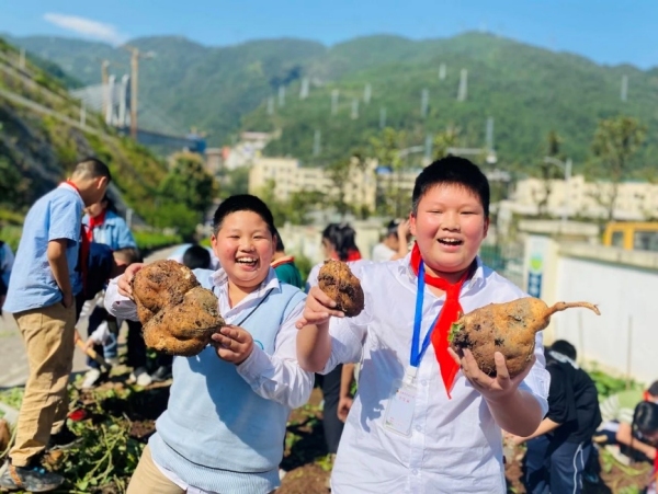 紅薯的前世今生。武隆區(qū)鳳溪小學供圖