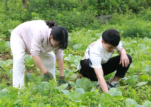 實(shí)踐團(tuán)體驗(yàn)拔草農(nóng)事活動(dòng)。重慶理工大學(xué)供圖