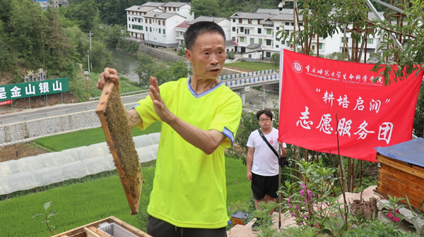 蜂農(nóng)展示蜂箱內(nèi)部結(jié)構(gòu)。重慶師范大學(xué)供圖