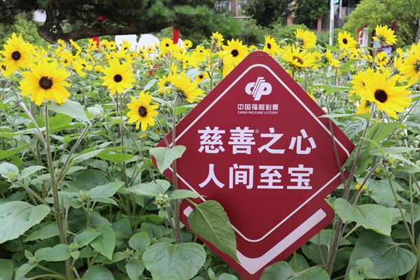 天衢公園既是一座愛情主題公園，也是一座福彩愛心公園。重慶福彩供圖