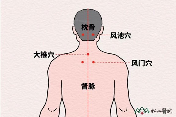 背部穴位。重慶松山醫(yī)院供圖