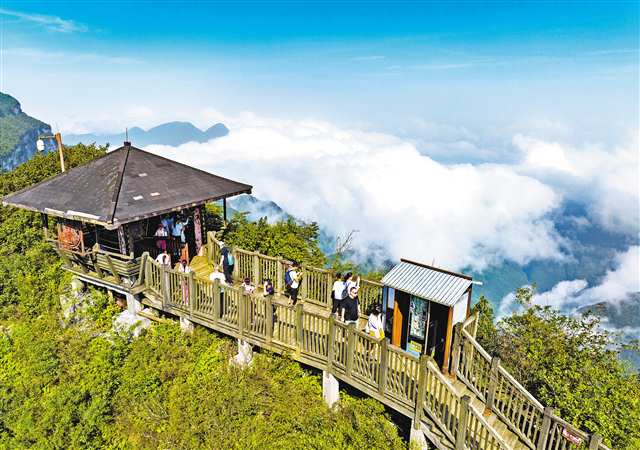 8月11日，南川區(qū)金佛山景區(qū)，云霧繞著喀斯特桌山地貌翻滾、涌動，形成美麗的云海景觀，吸引不少游客打卡拍照。通訊員 胡波 攝/視覺重慶