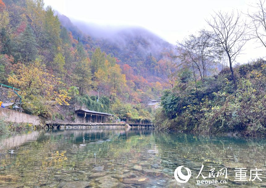 水清岸綠的嵐溪河。人民網(wǎng)記者 胡虹攝